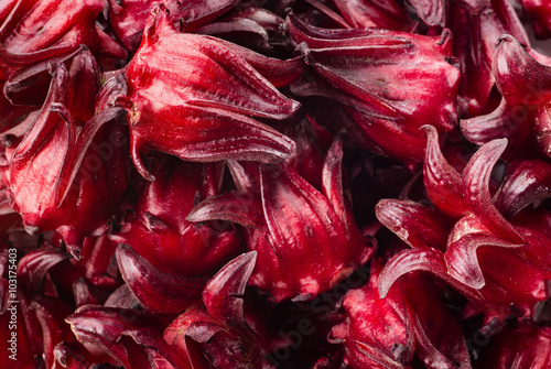 Fresh Roselle isolate on white background / selective focus
