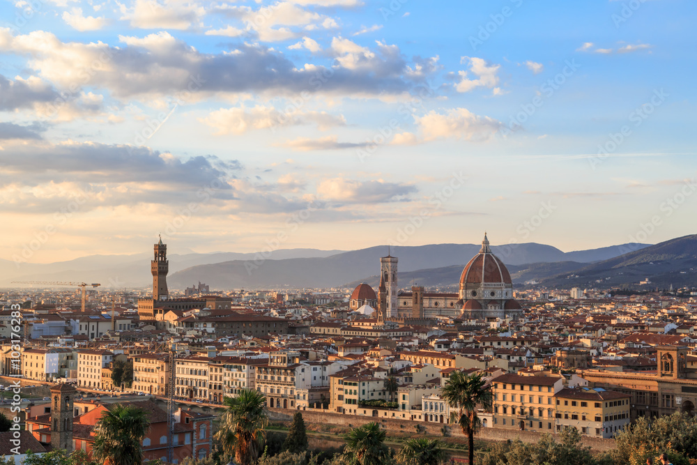 Florence City View