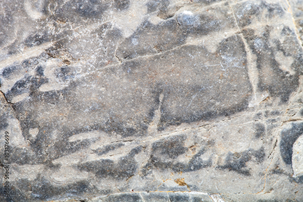 Fototapeta premium Surface of the stone for natural background