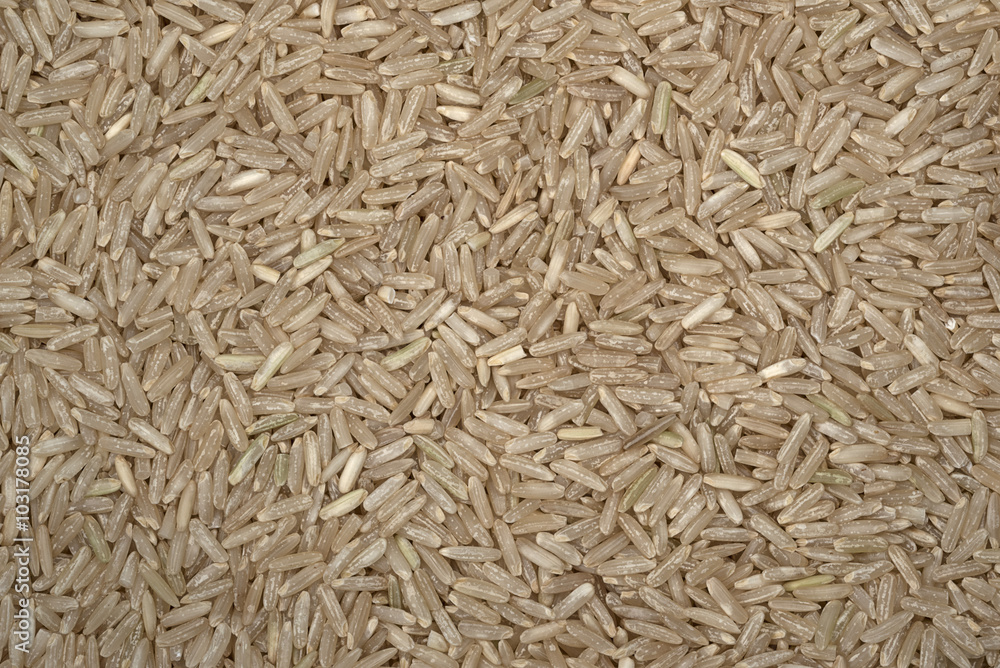 Rice close up