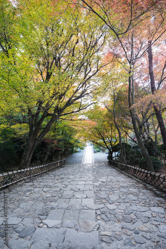 Japan Park in Autumn