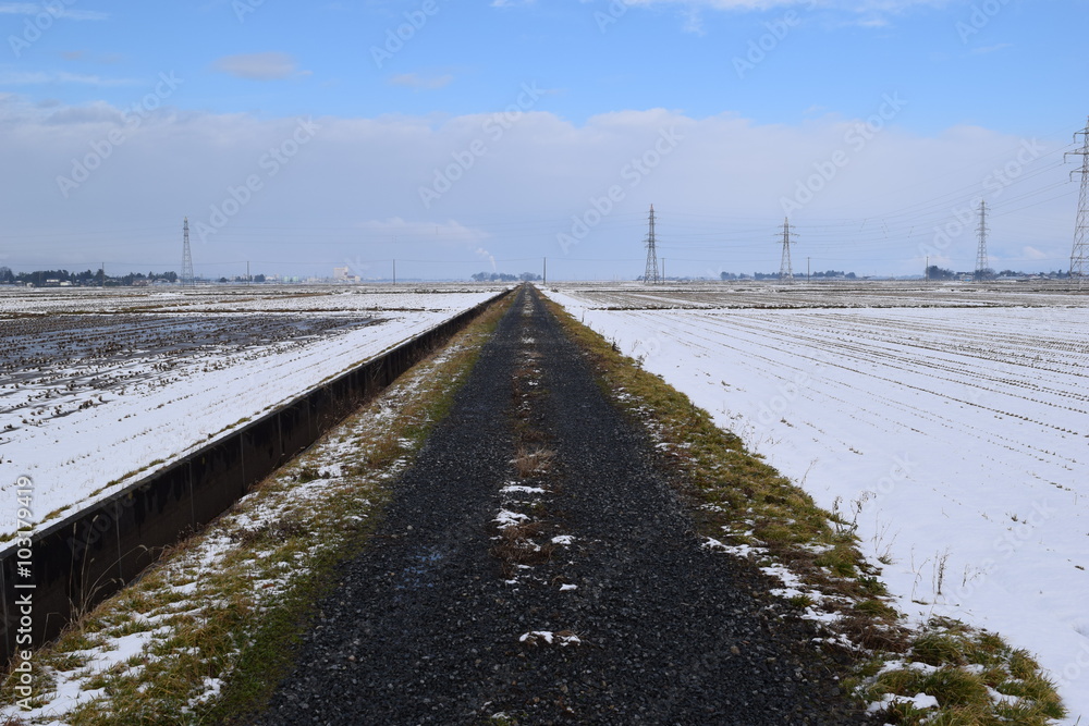 雪の田園風景／山形県の庄内地方で、積雪約3cmの田園風景を撮影した、冬イメージの写真です。