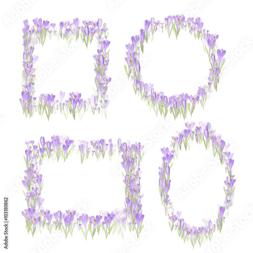 Vector floral seamless pattern