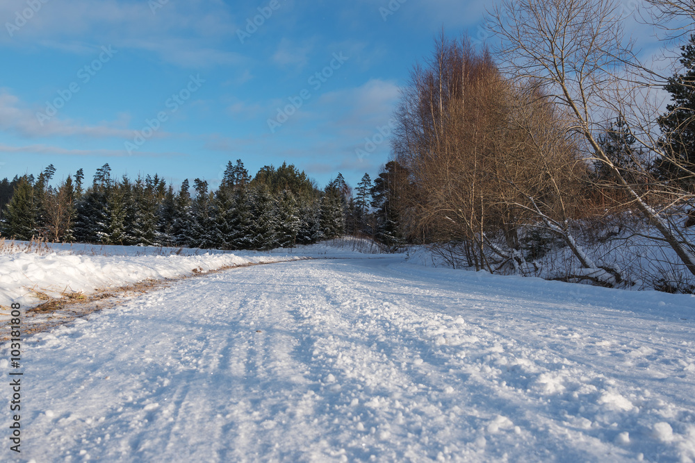 Obraz premium Winter landscape, Latvia.