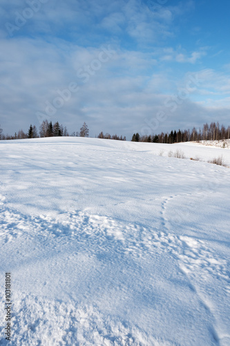 Winter landscape, Latvia.