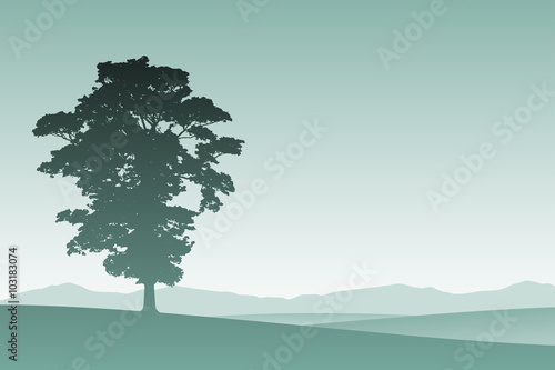 A Lone Tree in Silhouette with Meadow Landscape