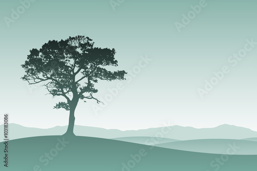A Lone Tree in Silhouette with Meadow Landscape