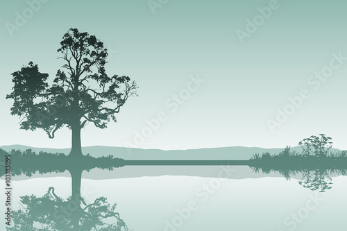 A Countryside Landscape with Tree and Reflection in Water