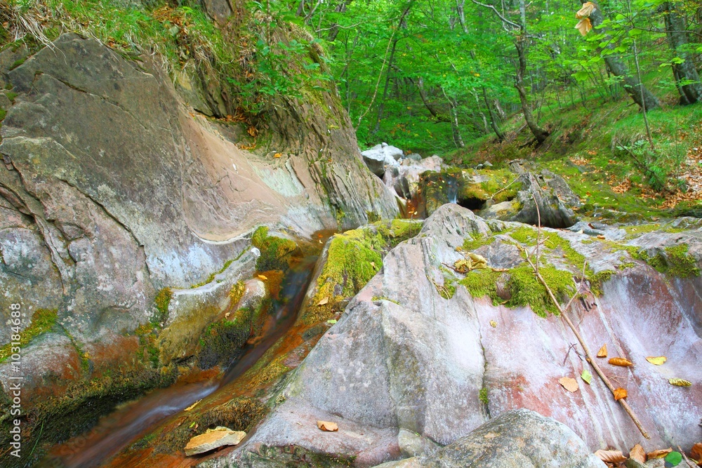 Fototapeta premium Wild nature with rocks, stream and forest