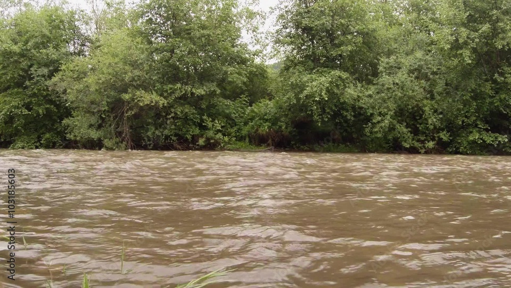 Small River Flowing Nearby From Edge of forest in the mountains Small River Flowing Nearby From Edge of forest in the mountains