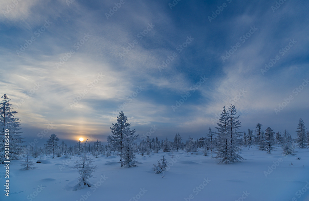 Winter landscape with taiga, cloudy sky and sun Winter landscape with taiga, cloudy sky and sun