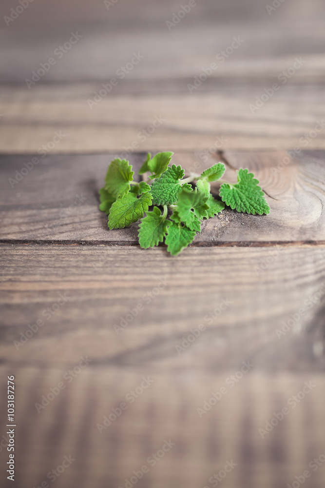 Mint leaves on wooden background largly Mint leaves on wooden background largly