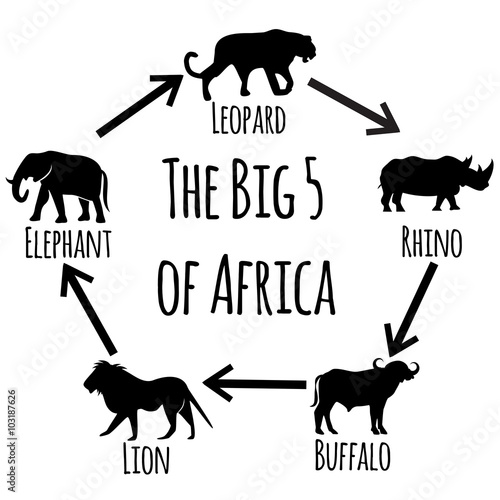 The Big Five of Africa - vector art.