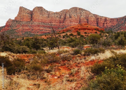 Spectacular red rock formations in the Coconino National Forest in Arizona near Sedona