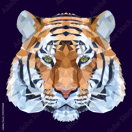 Fototapeta Naklejka Na Ścianę i Meble -  Low poly tiger illustration. Polygonal graphic design.