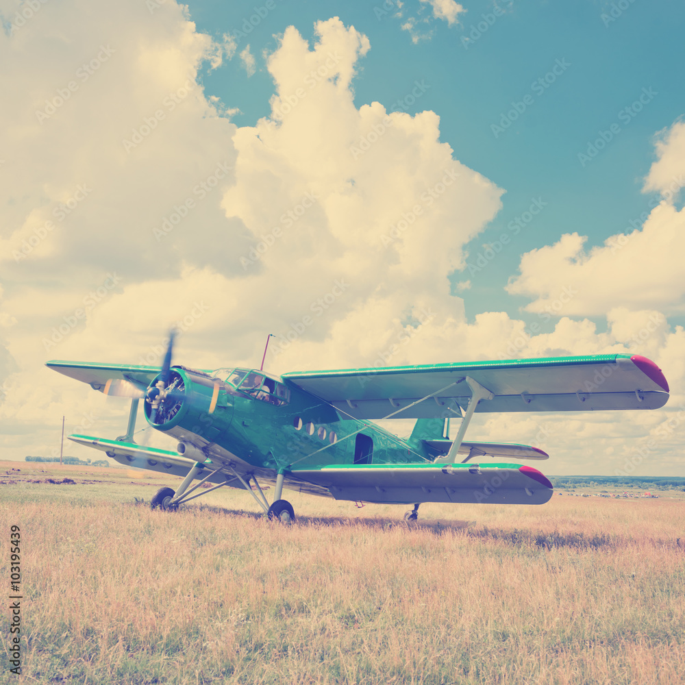 Obraz premium old airplane on green grass