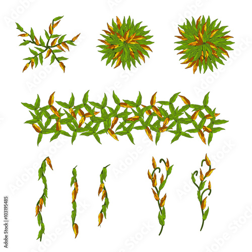 Cartoon nature elements, vector objects.