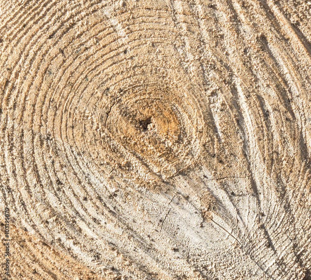 Naklejka premium 木のテクスチャ