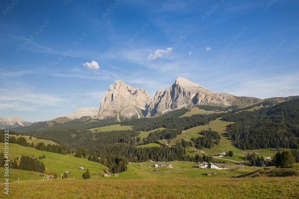 Sassopiatto and Sassolungo mountain landscape