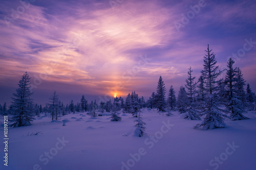 Winter landscape with forest, cloudy sky and sun 