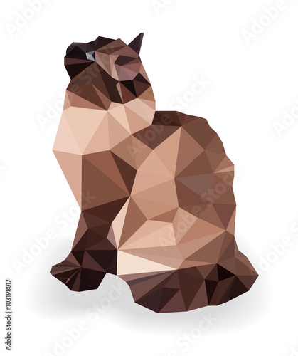 Low poly cat.
