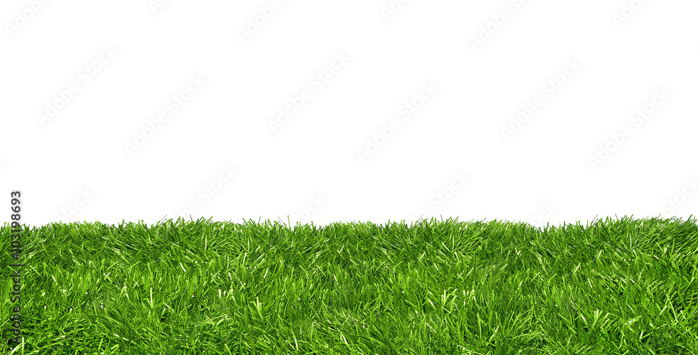 Lawn line against white background