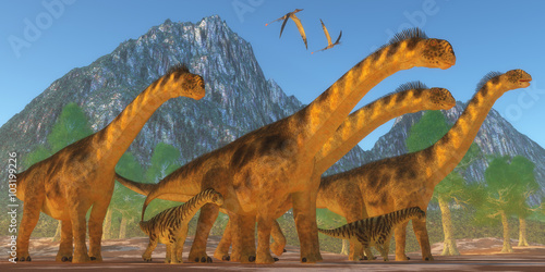 Camarasaurus Dinosaurs - A Camarasaurus sauropod dinosaur herd keep watch on their offspring as two Rhamphorhynchus reptiles fly over. © Catmando