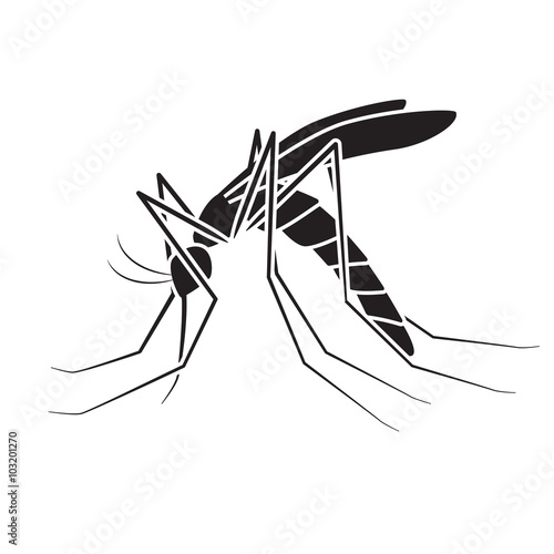 mosquito vector,sign