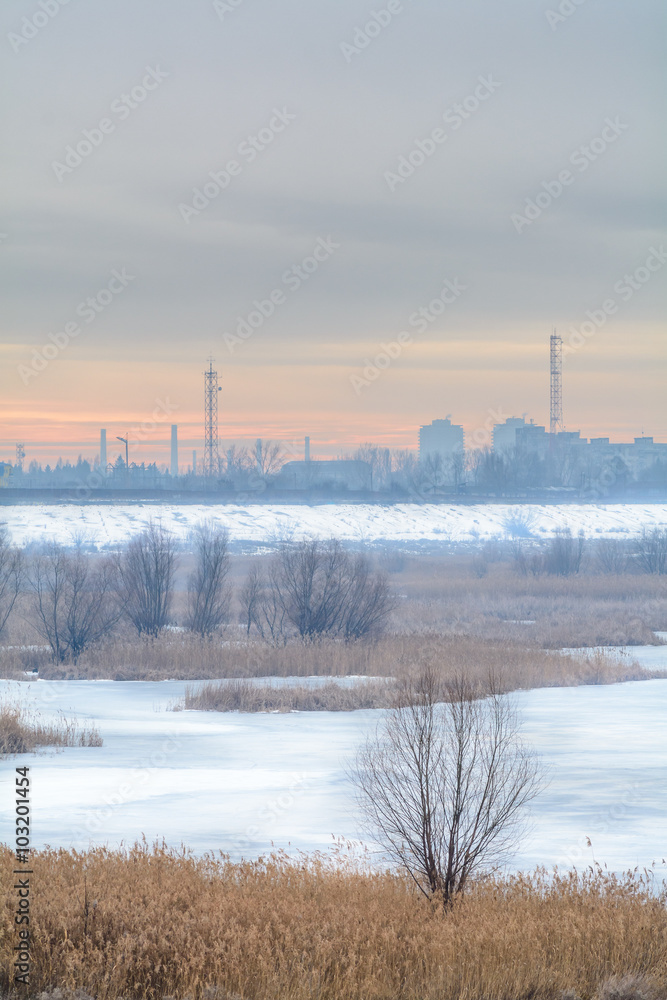 Frozen dry grass and bare tree in snow over city landscape. Wint