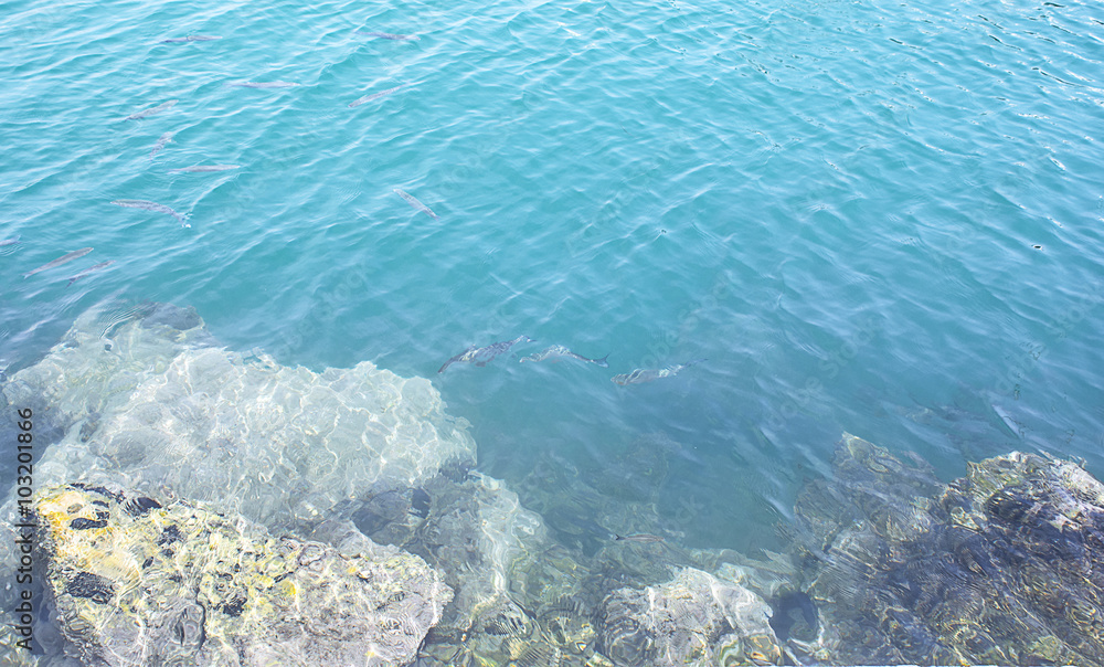 Obraz premium Sea and rocks under water