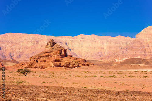 The Spiral Hill in Timna Park