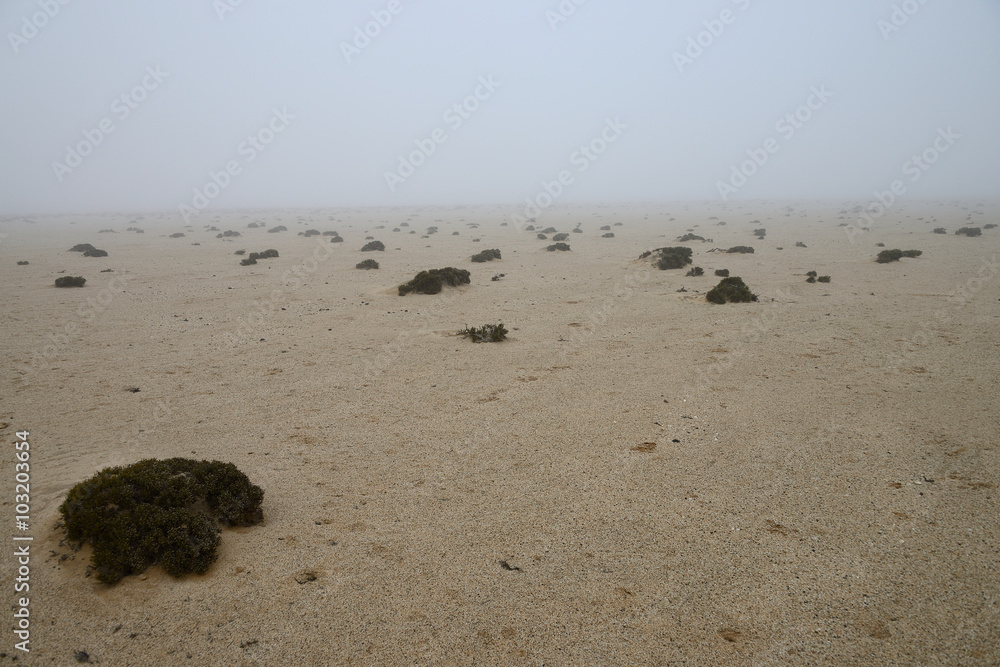 Mist in the Namib, Namibia Mist in the Namib, Namibia