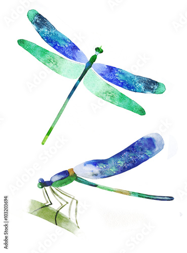 Wallpaper Mural watercolor dragonfly on a white background Torontodigital.ca
