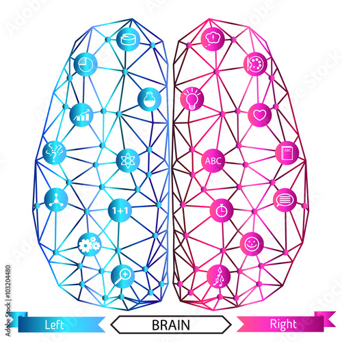 Left and right brain functions concept