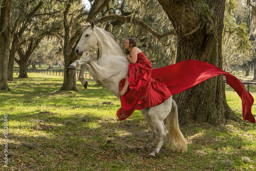 Girl or woman riding a white azteca mare horse bareback while rearing up with no bridle wearing a red gown looking courageous adventurous free strong spirited stunning well-trained beautiful