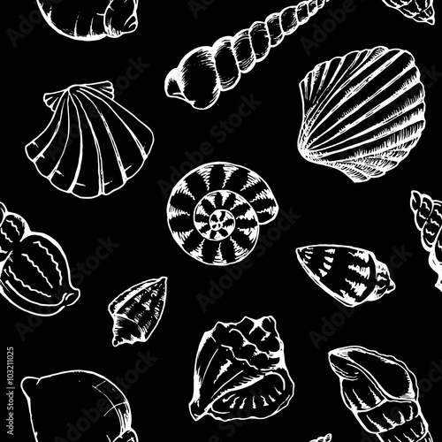 Monochrome sea shells vector seamless pattern texture background