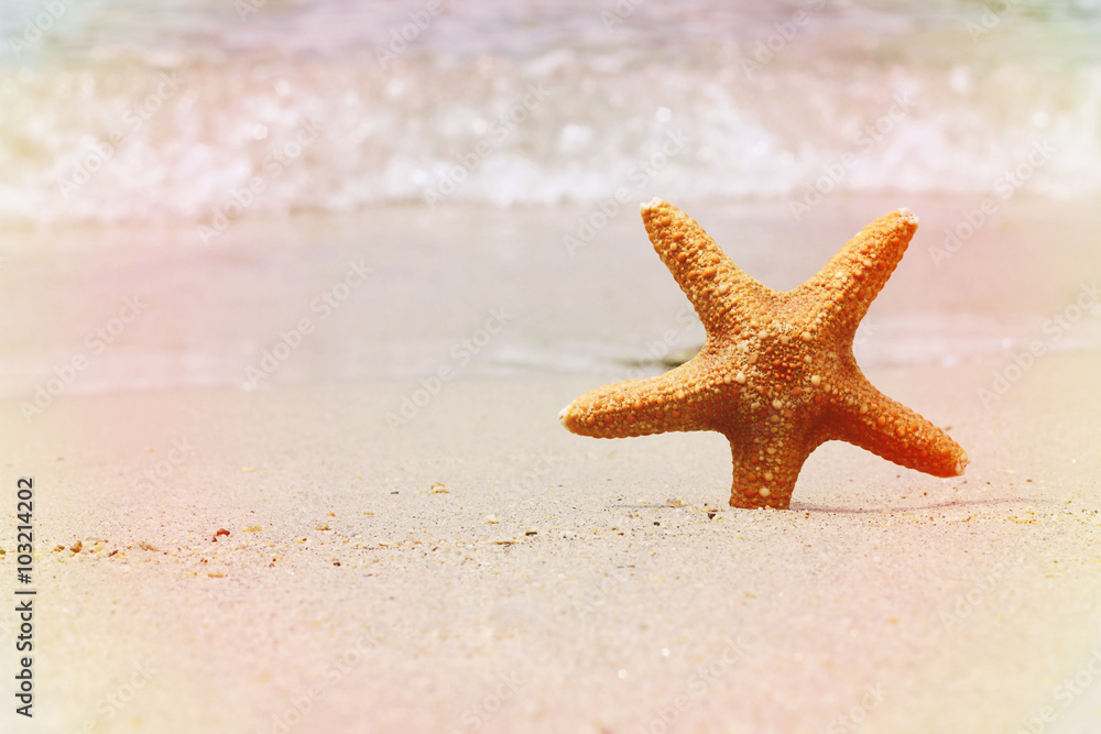 Starfish, sand, beach, sea. Summer holiday background. Light leaks film camera effect Starfish, sand, beach, sea. Summer holiday background. Light leaks film camera effect
