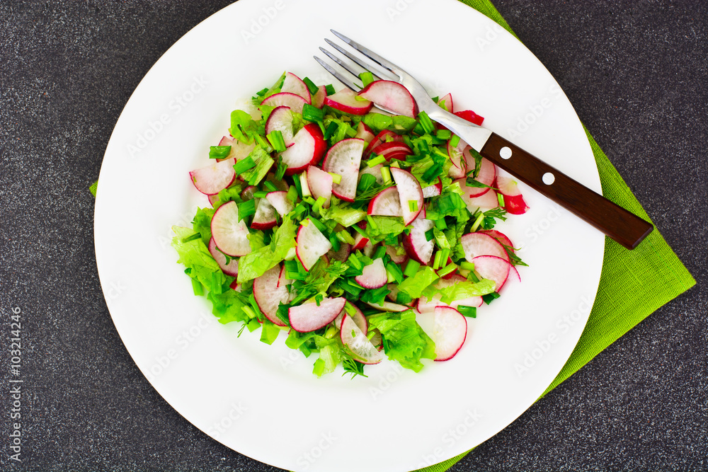 Dietary Salad from Fresh Juicy Radish, Green Onions, Lettuce