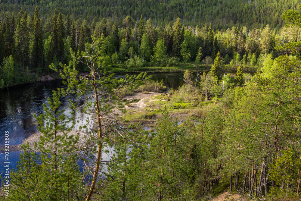 Obraz premium Oulankajoki im Oulanka Nationalpark 