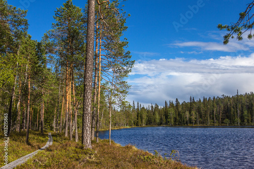 Pfad im Oulanka Nationalpark 5 photo