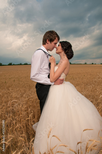 Bride and groom in a wheat field © litts