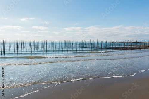 Landscape of sea with wooden poles.