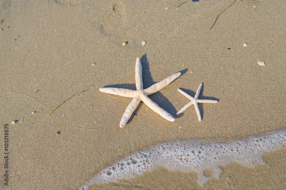 Sea shells and stars. Summer beach, sand, waves. Selective focus. Sea shells and stars. Summer beach, sand, waves. Selective focus.