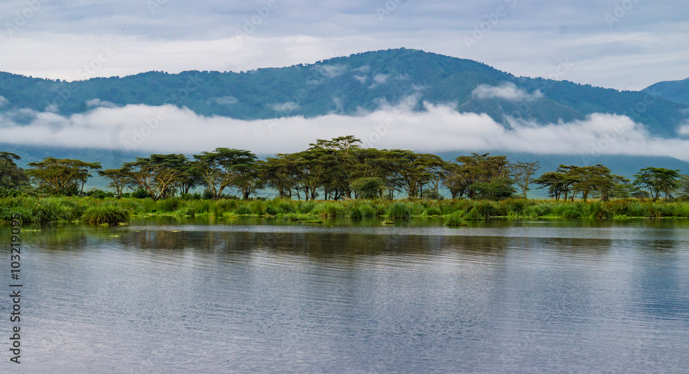 Ngorongora Crater Landscape with
view of  lake, marshy wetland,  Acacia Trees and mountains along the Crater rim