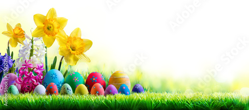 Daffodils Hyacinths And Decorated Eggs On Green Meadow - Easter Holiday Backg...