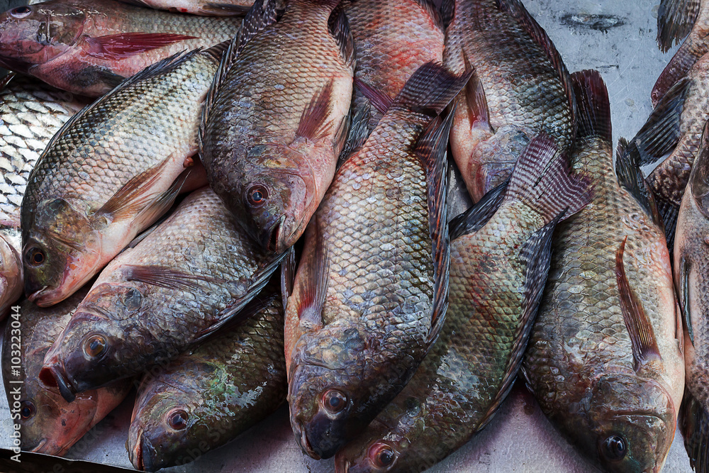 Fresh nile tilapia are on sale in the bazaar. Fresh nile tilapia are on sale in the bazaar.