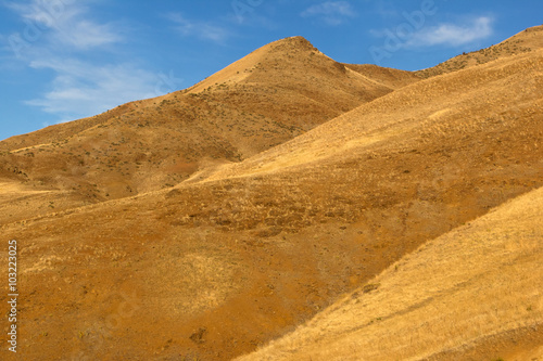 highland desert hills of the northwest during the dry season