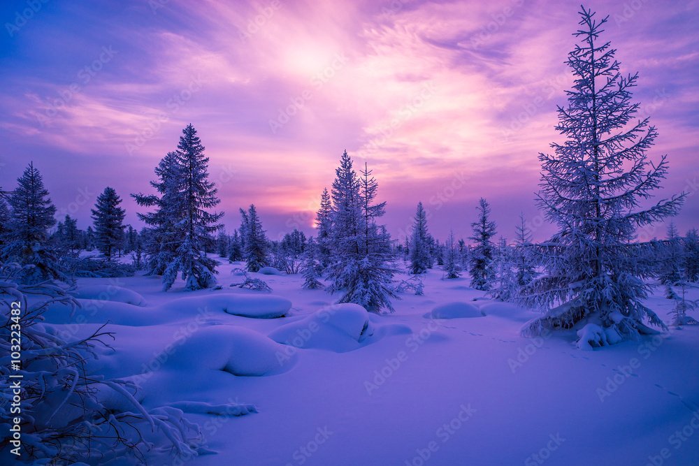 Winter landscape with forest, cloudy sky and sun 