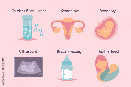 pregnancy process concept