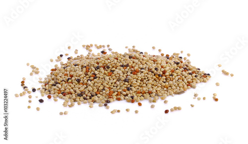 Pet food for birds isolate on white background